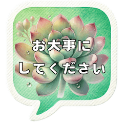 Succulent Lover Speech Bubble [Formal]