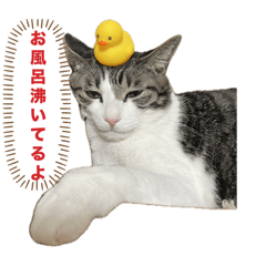 LINE stickers for Mom