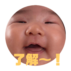 YUKA_20250223230439