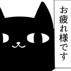 black cat4