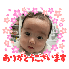HaruEma_202502