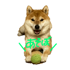 suu_20250223213151