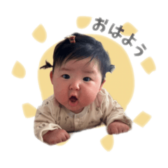 koto_20250224091406