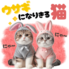 Rabbit cat cute