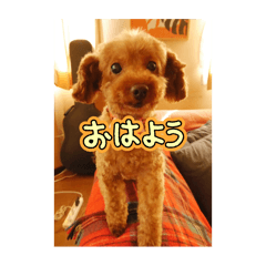 KIKI_20250224114041