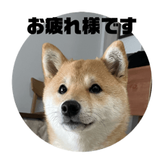 YURI_20250223192828