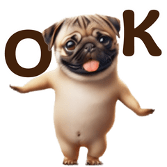 Dance pug