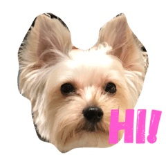 tissue, just tissue – LINE stickers | LINE STORE