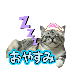 mi_20250223223136