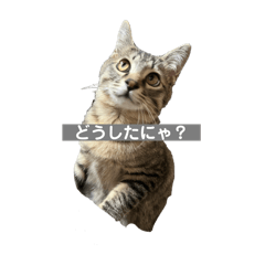Hi_20250223223834