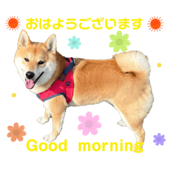 KASUMI_20250224085145