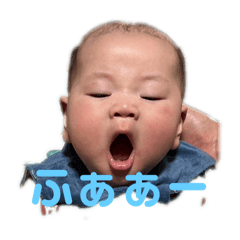 Tomo_20250223195836