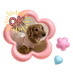 pipi_20250223195450