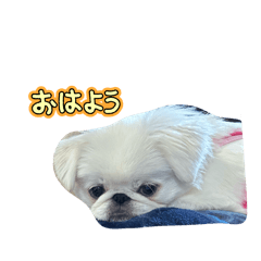 kasumi_20250224110923