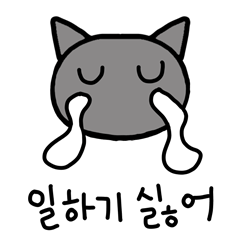 A Working gray cat