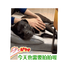 HAPPY  歐歐小狗勾