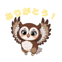 SY_20250223163224