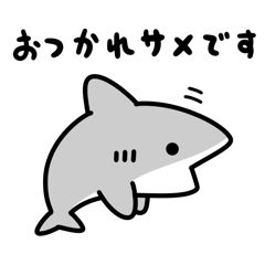 Laid-Back Shark