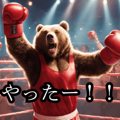 Bear boxer