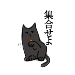 ami_20250223215432
