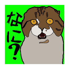 ma_20250224102732