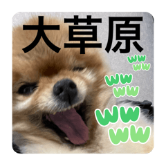 KEDAMAchan2