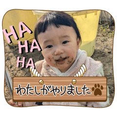 PAPA_20250224122448