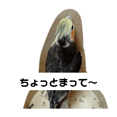 mii_20250224123027
