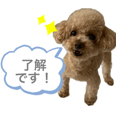 pupu_2025