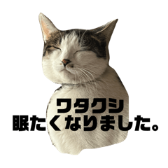 nao_20250224020835