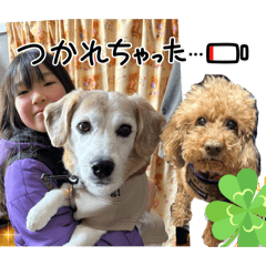 chiro_20250224135555
