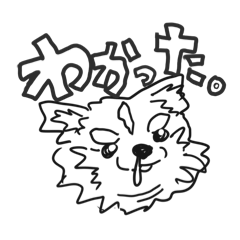 mi_20250224065050