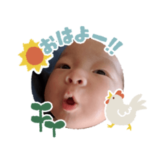 panda_20250224144425