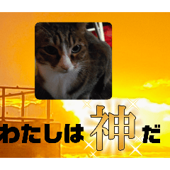mayu_20250224105918