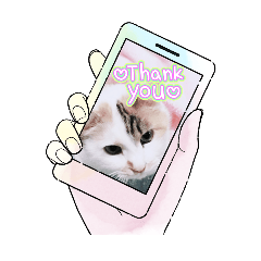 chiro_20250224141749
