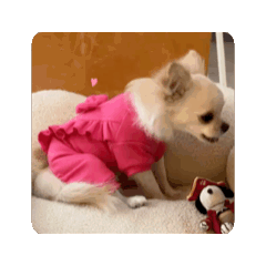 nao_20250224150206