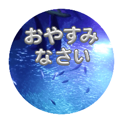 yuko_20250224095621