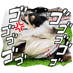 KANA_20250224140631