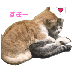 SHUNSEI_20250224152246