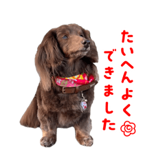 mayu_20250224154000