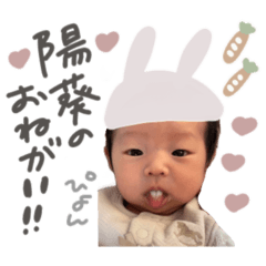 poco_20250224161024