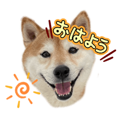 Yuki_20250224161544