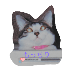 TAKA_20250224162023