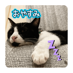 hitomi_20250224143701