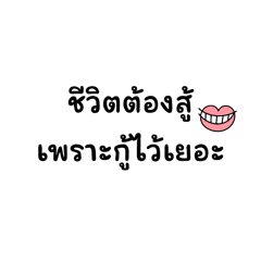 SASA_20250224173551