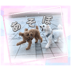 HINATA_20250224174535