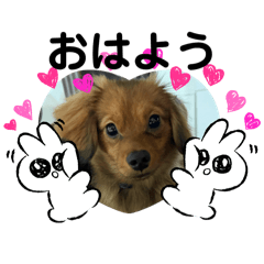 kinako_20250224180542