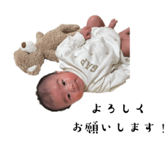 mumu_20250224175845
