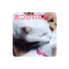 kero_20250224200206