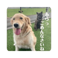 kaede_20250224223632